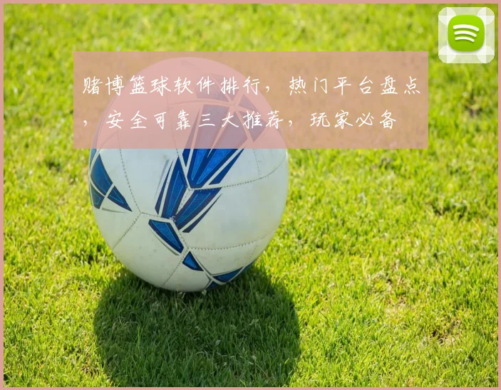 赌博篮球软件排行，热门平台盘点，安全可靠三大推荐，玩家必备