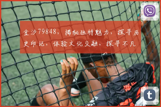 金沙79848，揭秘独特魅力，探寻历史印记，体验文化交融，探寻不凡之旅